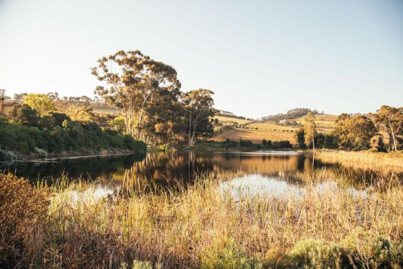 The Log Cabin Lodge Hotel, Stellenbosch - imaginea 20