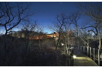 The Outpost Lodge Hotel, Makuleke Contract Park - 1