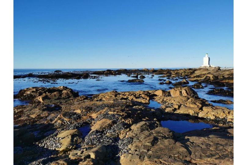 The Starling Apartment, St Helena Bay - imaginea 10