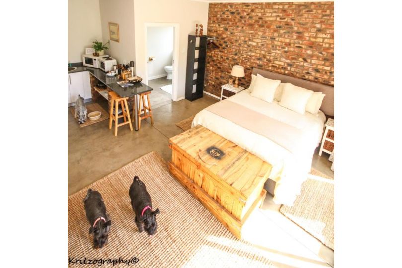 The Stoke House Apartment, Clarens - imaginea 3