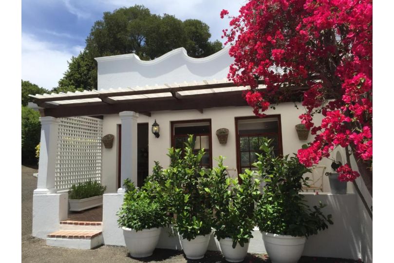 The White Manor Bed and breakfast, Cape Town - imaginea 12