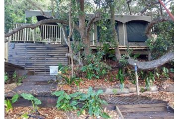 The Wild - Glamping Campsite, Wilderness - 1