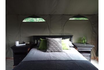 The Wild - Glamping Campsite, Wilderness - 3
