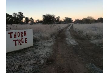 Thorn Tree Bloemfontein Bed and breakfast, Bloemfontein - 2