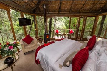 Trogon House and Forest Spa Bed and breakfast, The Crags - 3