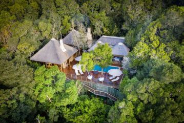 Trogon House and Forest Spa Bed and breakfast, The Crags - 2