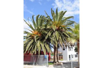 Two Palm House - Vermont Guest house, Hermanus - 4