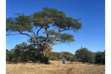 Umkhumbi Lodge Hotel, Hluhluwe - 5
