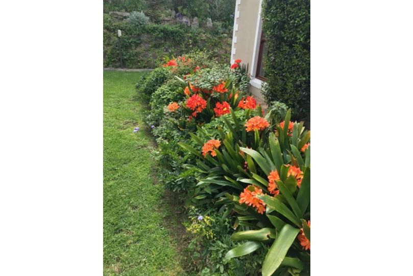 Valley Heights Guest House and B & B Guest house, Cape Town - imaginea 13
