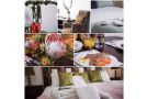 Villa Palesa Guesthouse Guest house, Grahamstown - thumb 5