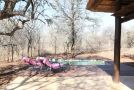 Villa ZaZu Villa, Marloth Park - thumb 1