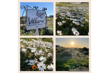 Villiera Guest Farm Apartment, Langebaan - 4