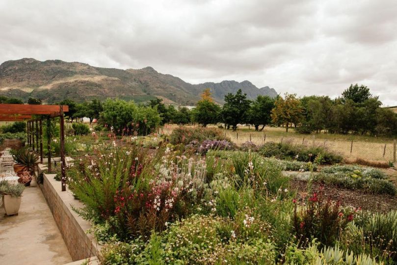 Vineyard Views Country House Guest house, Riebeek-Kasteel - imaginea 14