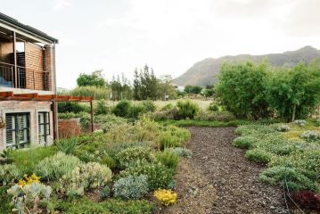 Vineyard Views Country House Guest house, Riebeek-Kasteel - 2