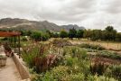 Vineyard Views Country House Guest house, Riebeek-Kasteel - thumb 14