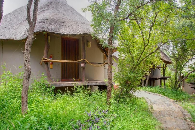 Warthogs Bush Lodge Chalet, Magaliesburg - imaginea 1