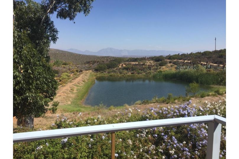 Watermill Farm Cottages Farm stay, Van Wyksdorp - imaginea 8