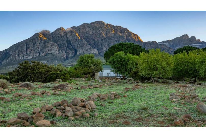 Welbedacht Game & Nature Reserve Hotel, Tulbagh - imaginea 13