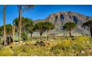 Welbedacht Game & Nature Reserve Hotel, Tulbagh - thumb 15