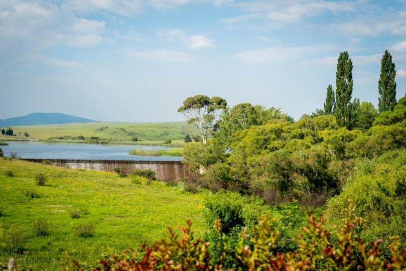 Wetlands Country House & Sheds Guest house, Wakkerstroom - imaginea 3