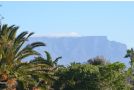 Whale Tale Guest house, Cape Town - thumb 4