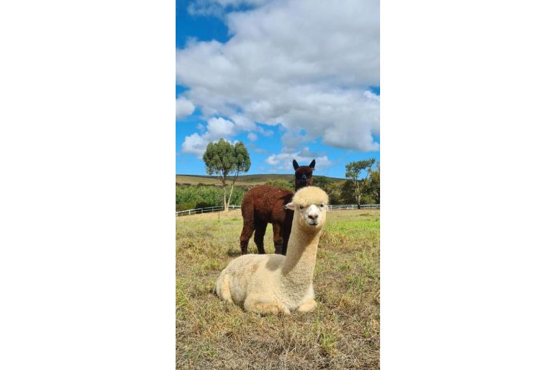 White Water Farm Guest house, Stanford - imaginea 10