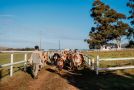 White Water Farm Guest house, Stanford - thumb 20