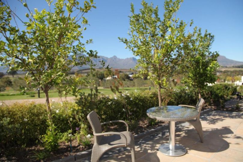 Wild Mushroom Country House Guest house, Stellenbosch - imaginea 10