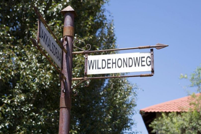 Wildehond Private Room in Wildlife Estate Guest house, Bloemfontein - imaginea 12