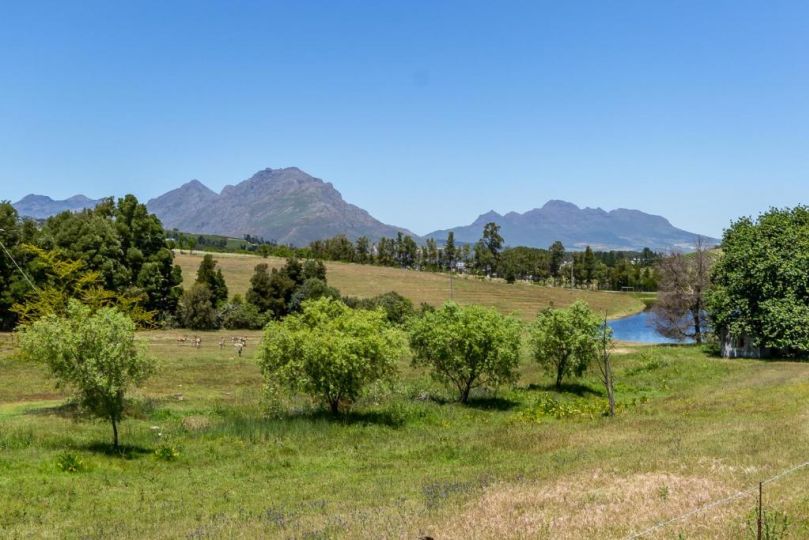 Wildlife Retreat on a Wine-Farm Farm stay, Stellenbosch - imaginea 16