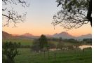 Wildlife Retreat on a Wine-Farm Farm stay, Stellenbosch - thumb 2