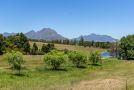 Wildlife Retreat on a Wine-Farm Farm stay, Stellenbosch - thumb 16