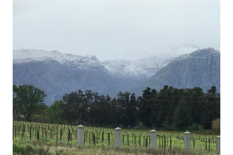 Raithby Winelands Historical Cottage Guest house, Raithby - imaginea 1