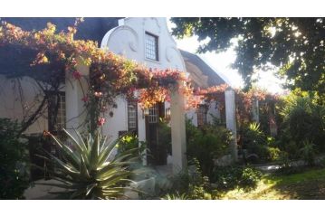 Wittedrift Manor House Guest house, Tulbagh - 5