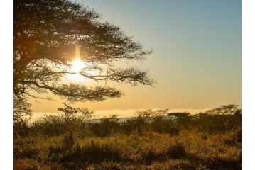 Zululand Lodge Campsite, Hluhluwe - 3